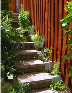 The original garden steps