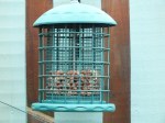Peanut bird feeder