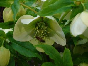 Welcome to my first guest!