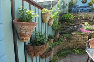 Herb fence round two